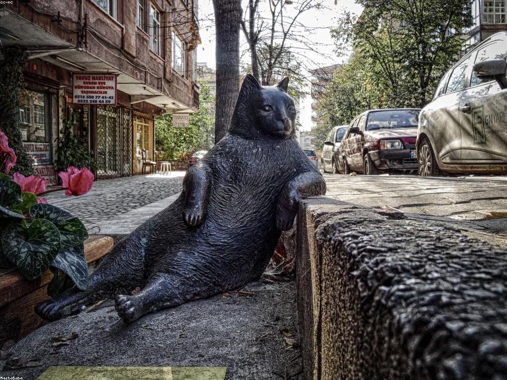 សារៈសំខាន់នៃការប្រើប្រាស់យ៉ាងមានប្រសិទ្ធភាព