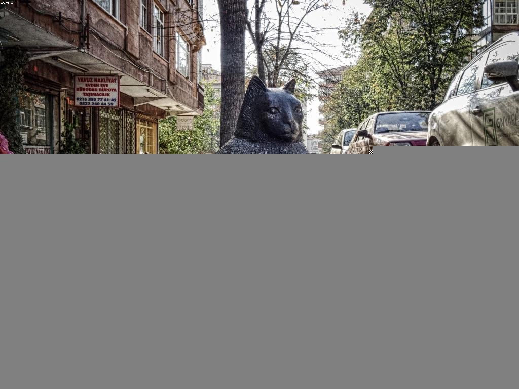 កំណត់ប្រាក់និងការធ្វើផែនការហិរញ្ញវត្ថុសម្រាប់ការលូតលាស់ផ្ទាល់ខ្លួន