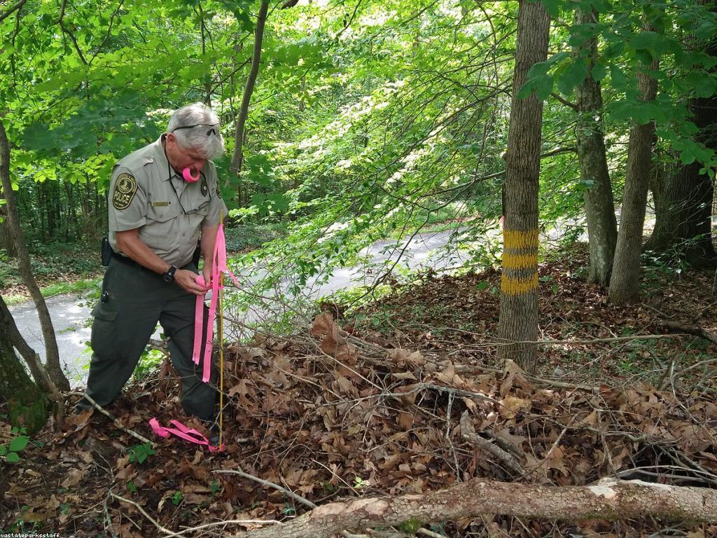 សំណួរដែលឆ្លើយ៖ ការគោរពធនធានធម្មជាតិ