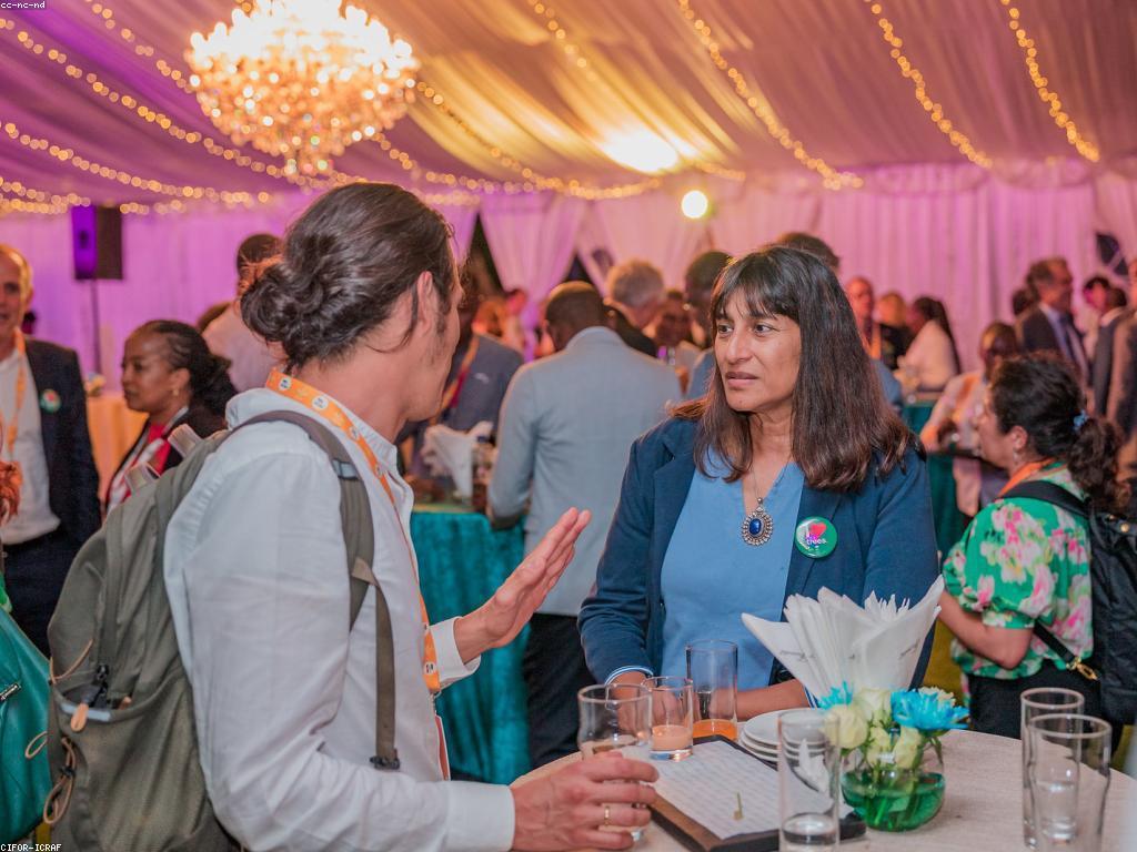 ការប្រាប់ពីការប្រើប្រាស់: ការយល់ដឹង និងការស្រាវជ្រាវ