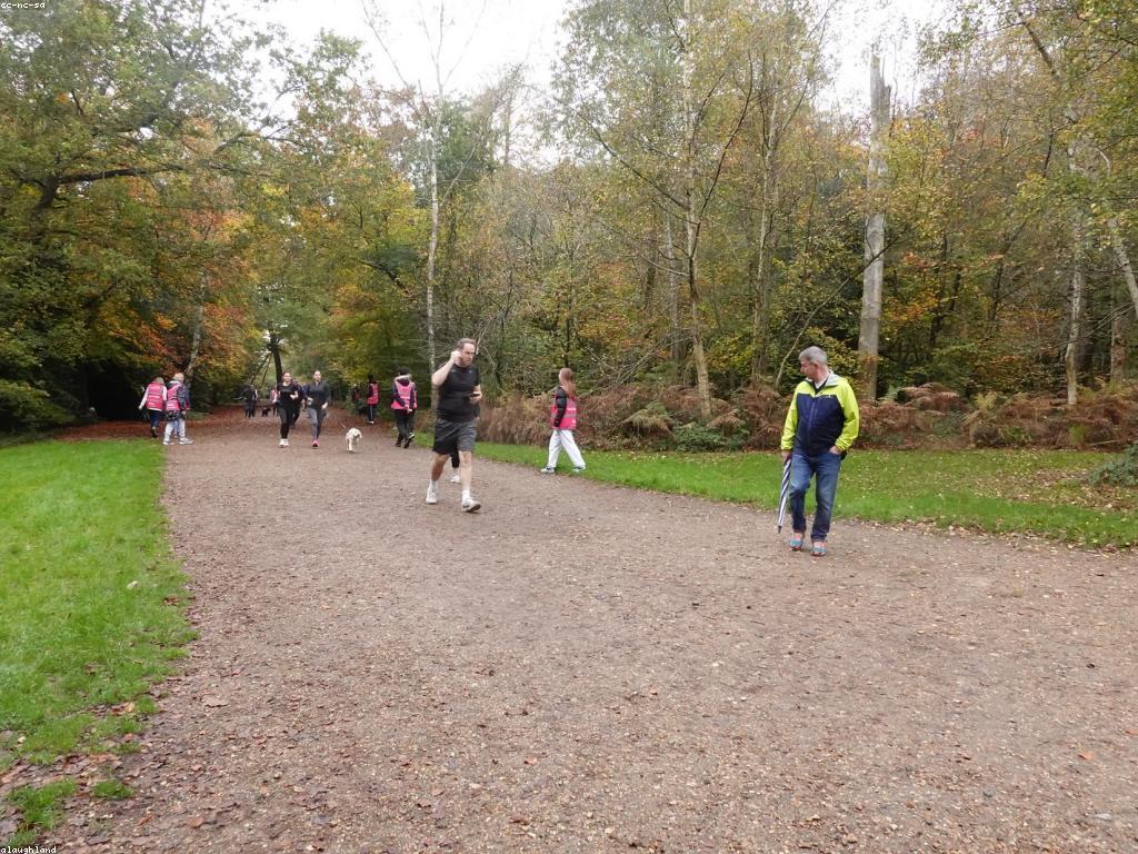 ការយល់ដឹងអំពីការប្រើប្រាស់និងអត្ថប្រយោជន៍