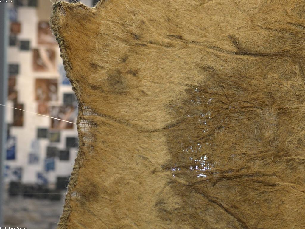 សំណួរដែលឆ្លើយ៖ ការចូលរួមជាមួយសហគមន៍